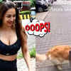 Article image for: Malaika Arora reshares Instagram post about 'cute' dog walking, avoiding paparazzi like her, netizens say 'Ye Malaika jyada better h'
