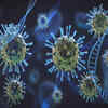 ​The recent WHO report is about European region