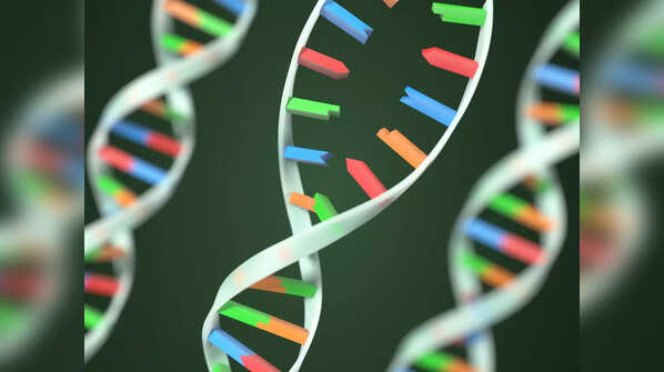 A possible recombinant variant