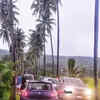 New pictures of <i class="tbold">parra</i>
