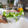 Eat leafy greens EVERY DAY
