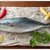 ​Fish