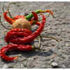 Chilies
