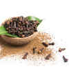 ​Clove