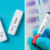 How are COVID and dengue different?