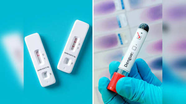 How are COVID and dengue different?