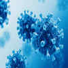 Other points to take note of