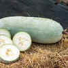 Article image for: <i class="tbold">ash gourd</i> is an excellent weight loss food