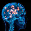 How COVID-19 impacts the brain