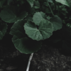 ​Important points to know​