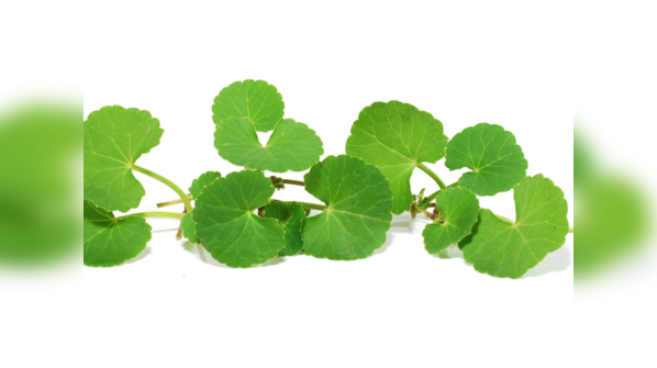 Can lower blood pressure