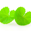 ​Protects against several diseases​