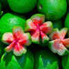 ​Guava
