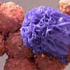 Article image for: Can cause death of cells