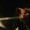 Article image for: Watch The Latest English Official Video Song 'I Ain't Quite Where I Think I Am' Sung By Arctic Monkeys
