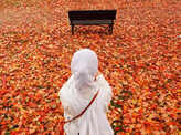 40 awe-inspiring autumn images from around the world