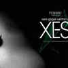 ​XES
