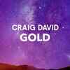 Article image for: Listen To Latest English Official Music Audio Song 'Gold' Sung By <i class="tbold">craig david</i>