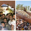 Friends and Fans