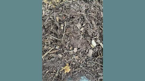 What do you see?