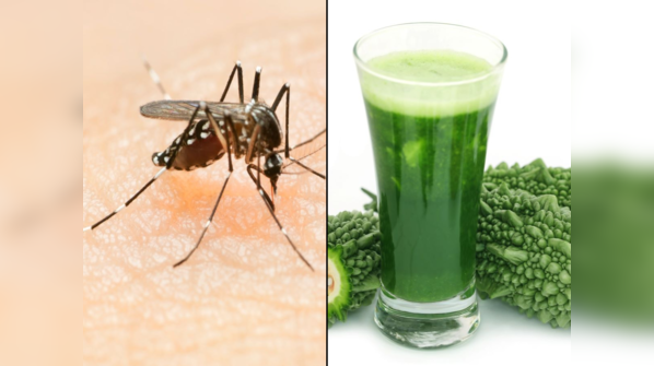 Fight dengue infection