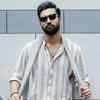 ​Mr Punjab