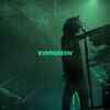 Article image for: Watch Latest English Official Music Video Song '<i class="tbold">evergreen</i>' Sung By Gryffin And Au/Ra