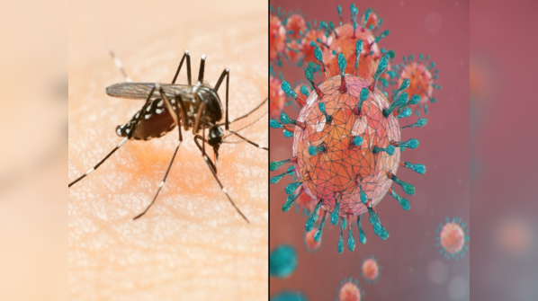 Is it COVID or dengue?