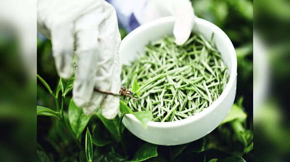 More about these herbs