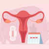 ​Important points about the study
