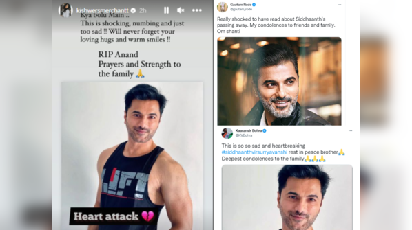 Karanvir, Kishwer and many others reacted