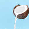 Article image for: <i class="tbold">coconut milk</i>