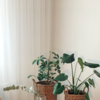 Article image for: Shopping for your home