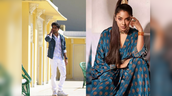 From Harshad Chopda to Rupali Ganguly: TV celebs who made a comeback after taking a short break from the small screen