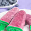 Yogurt Fruit Pops for Ice Cream