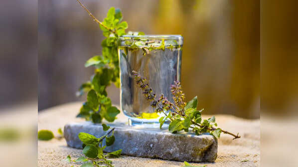 Tulsi