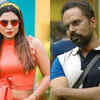Article image for: Wild card entrants who turned out to be game-changers in the reality show