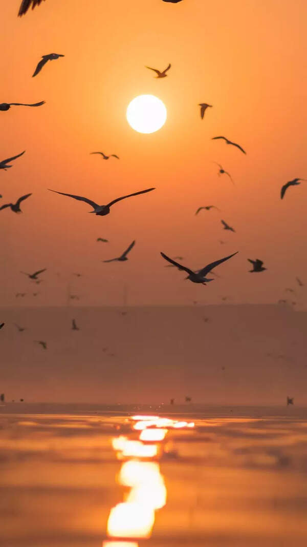 Vihaan