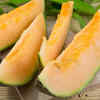 Cantaloupe