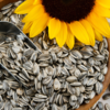 ​Sunflower seeds