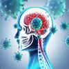 ​About the study