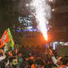 Article image for: Vigorous campaigning on for Delhi <i class="tbold">mcd</i> polls