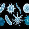 ​What is it called a zombie virus?