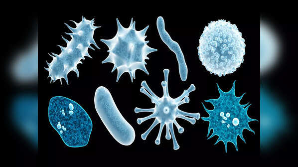 What is it called a zombie virus?
