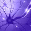 Article image for: A warning sign of vitamin B12 deficiency that can signal <i class="tbold">nerve damage</i>