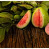​Seasonal cold and flu