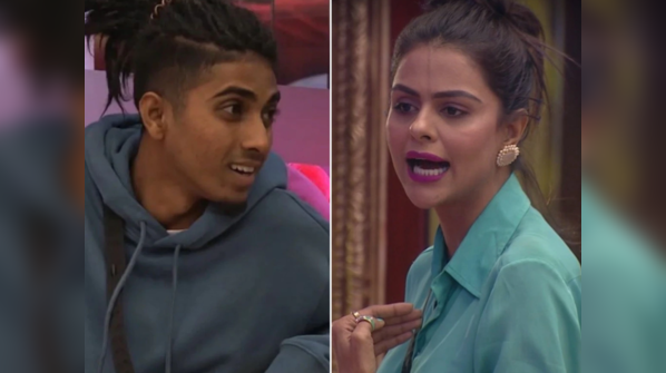 MC Stan does Priyanka Chahar's character assassination