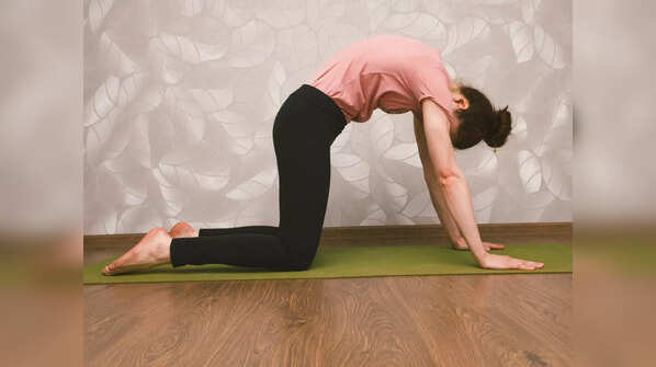 Marjariasana (Cat Cow Pose)