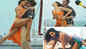Deepika Padukone's ‘Besharam Rang’ row: Mahant Raju Das calls for a boycott of Shah Rukh Khan's movie 'Pathaan'
