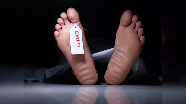 Who is at the risk of contraction?